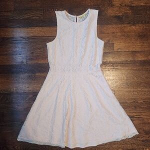 Pale Pink Lace Fit and Flare Dress